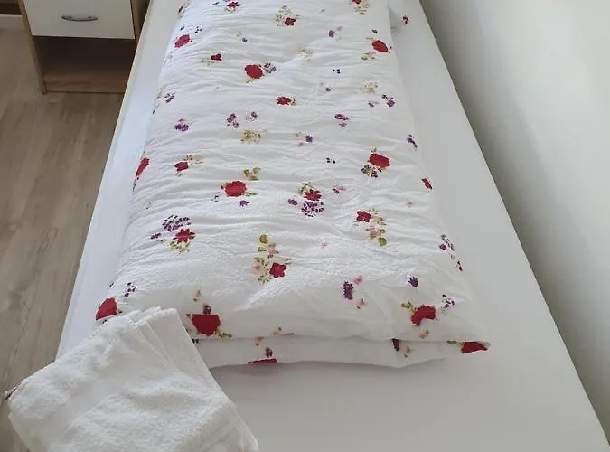 Privatzimmer An Der Universitaetsklinik Mainz. Sehr Zentral